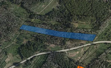Prodej lesa 9 117 m², Krasonice, okres Jihlava