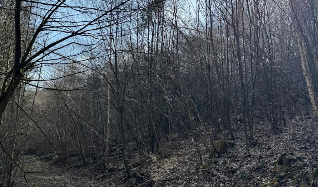 Prodej pozemku 23 891 m², Louňovice pod Blaníkem – náhled fotky 11
