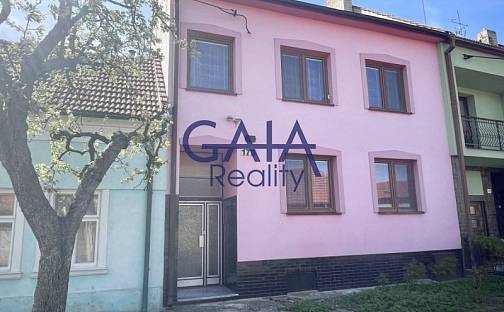 Prodej domu 356 m² s pozemkem 421 m², Louka, okres Hodonín