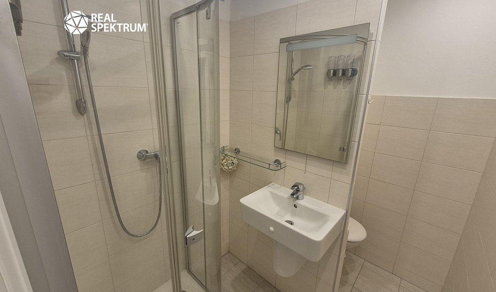 Pronájem bytu 1+1 32 m², Brno – náhled fotky 11