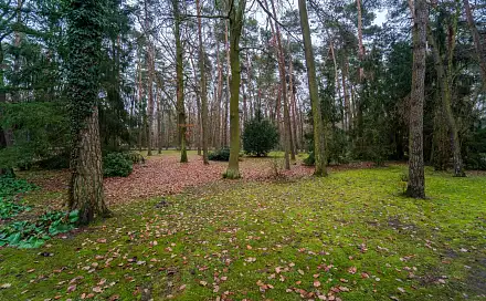 Prodej stavebního pozemku 2 800 m², Kersko, Hradištko, okres Nymburk