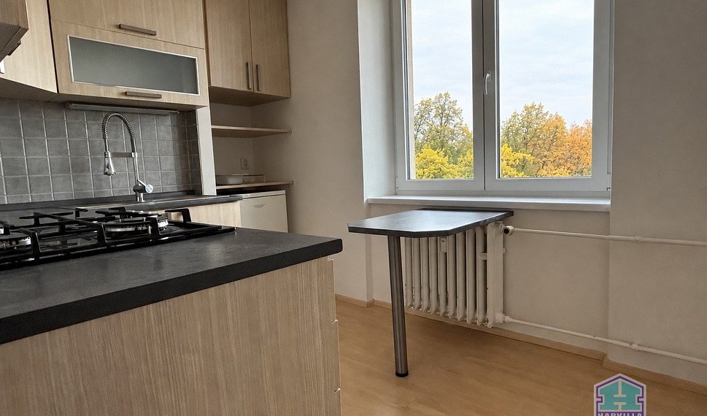 Pronájem bytu 1+1 35 m², Plzeň – náhled fotky 4