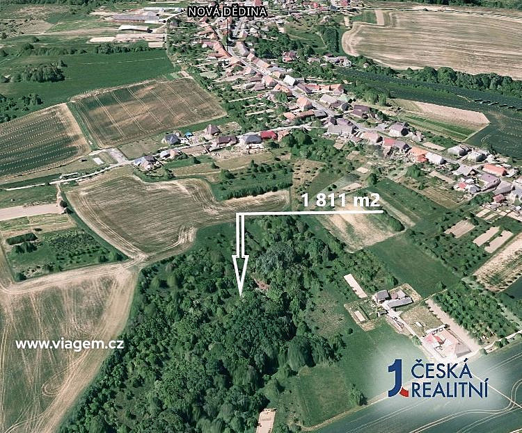 Prodej lesa 1 811 m² – fotografie 2