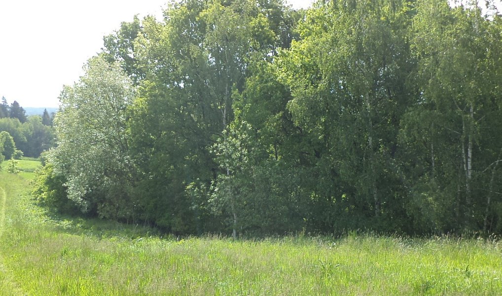 Dražba louky, 1175 m², Jindřichův Hradec, Vícemil