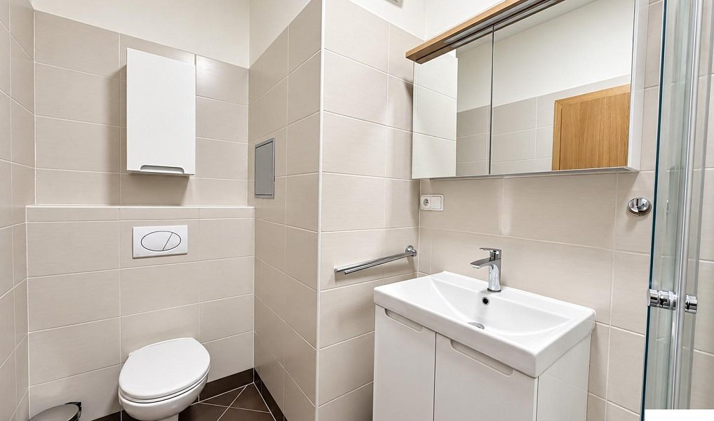 Pronájem bytu 1+kk 35 m², Praha – náhled fotky 12