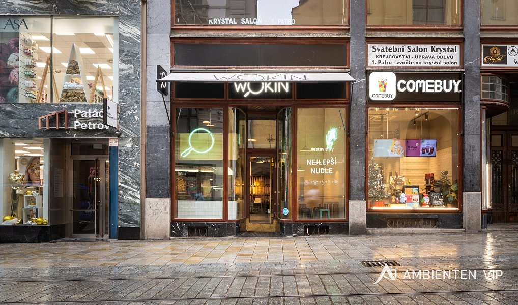 Prodej obchodních prostor 494 m², Brno – náhled fotky 26