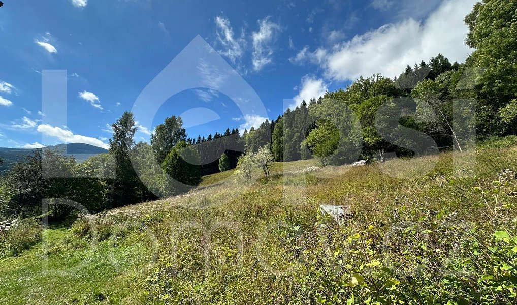 Prodej stavebního pozemku 1 379 m², Lipová-lázně – náhled fotky 2