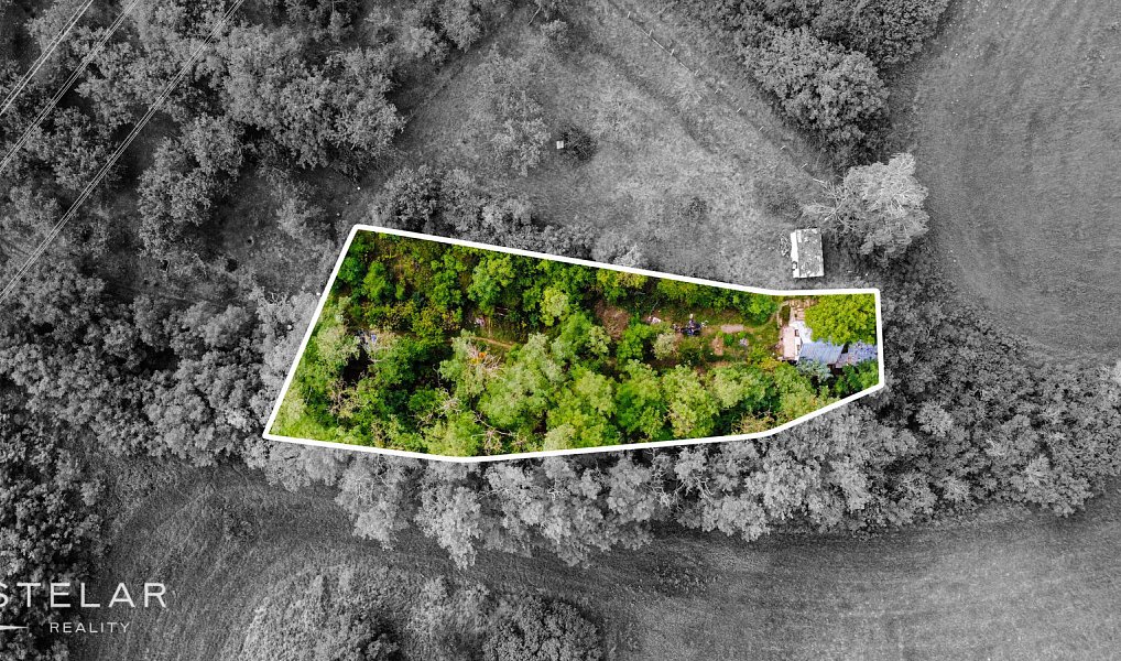 Prodej chaty/chalupy 17 m² s pozemkem 1 167 m², Sobotovice – náhled fotky 2
