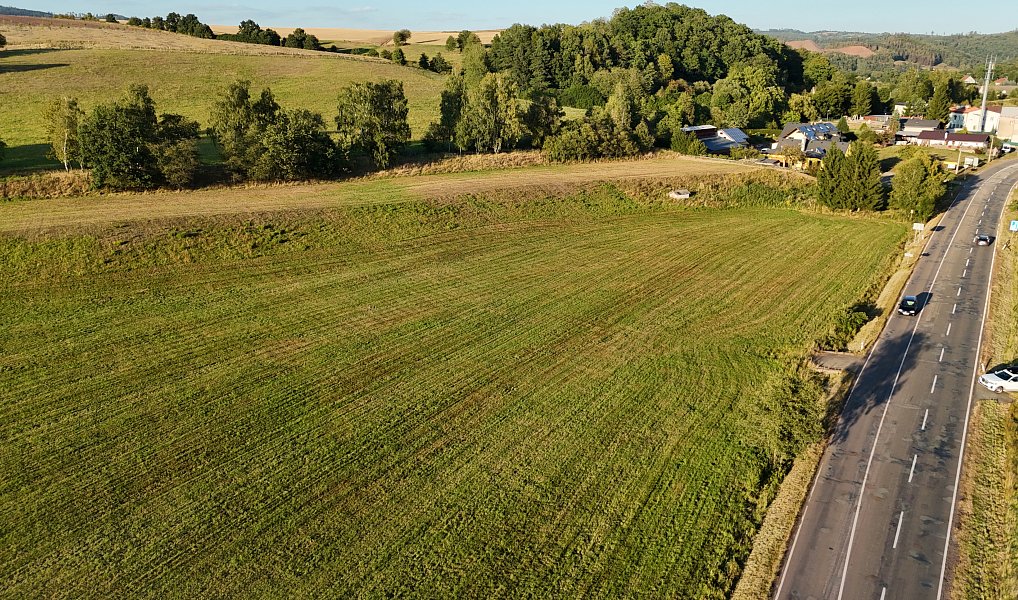 Prodej komerčního pozemku 11 723 m², Otovice – náhled fotky 5