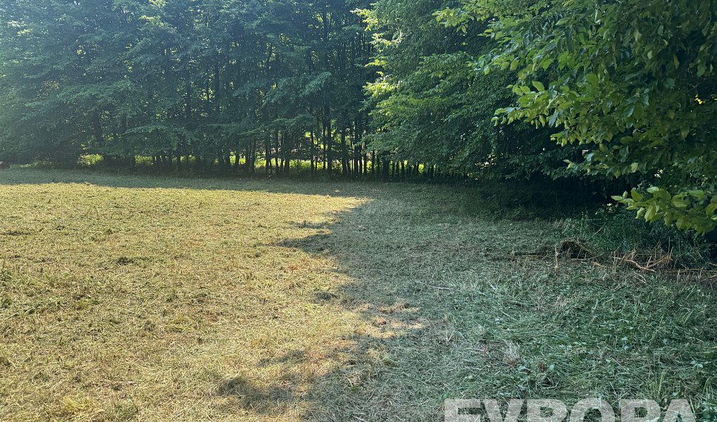 Prodej stavebního pozemku 1 614 m², Sendražice – náhled fotky 7