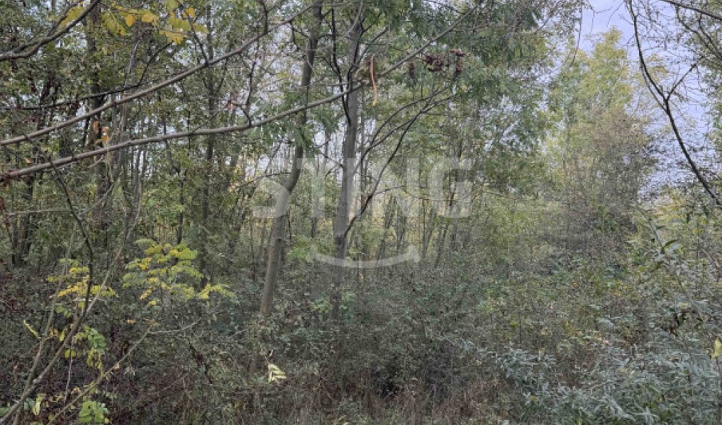 Prodej pozemku 10 074 m², Kleneč – náhled fotky 4