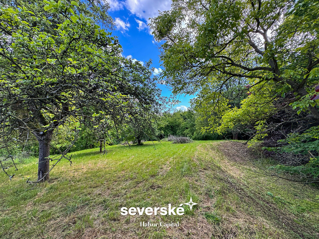 Prodej stavebního pozemku 3 378 m² - Więcej