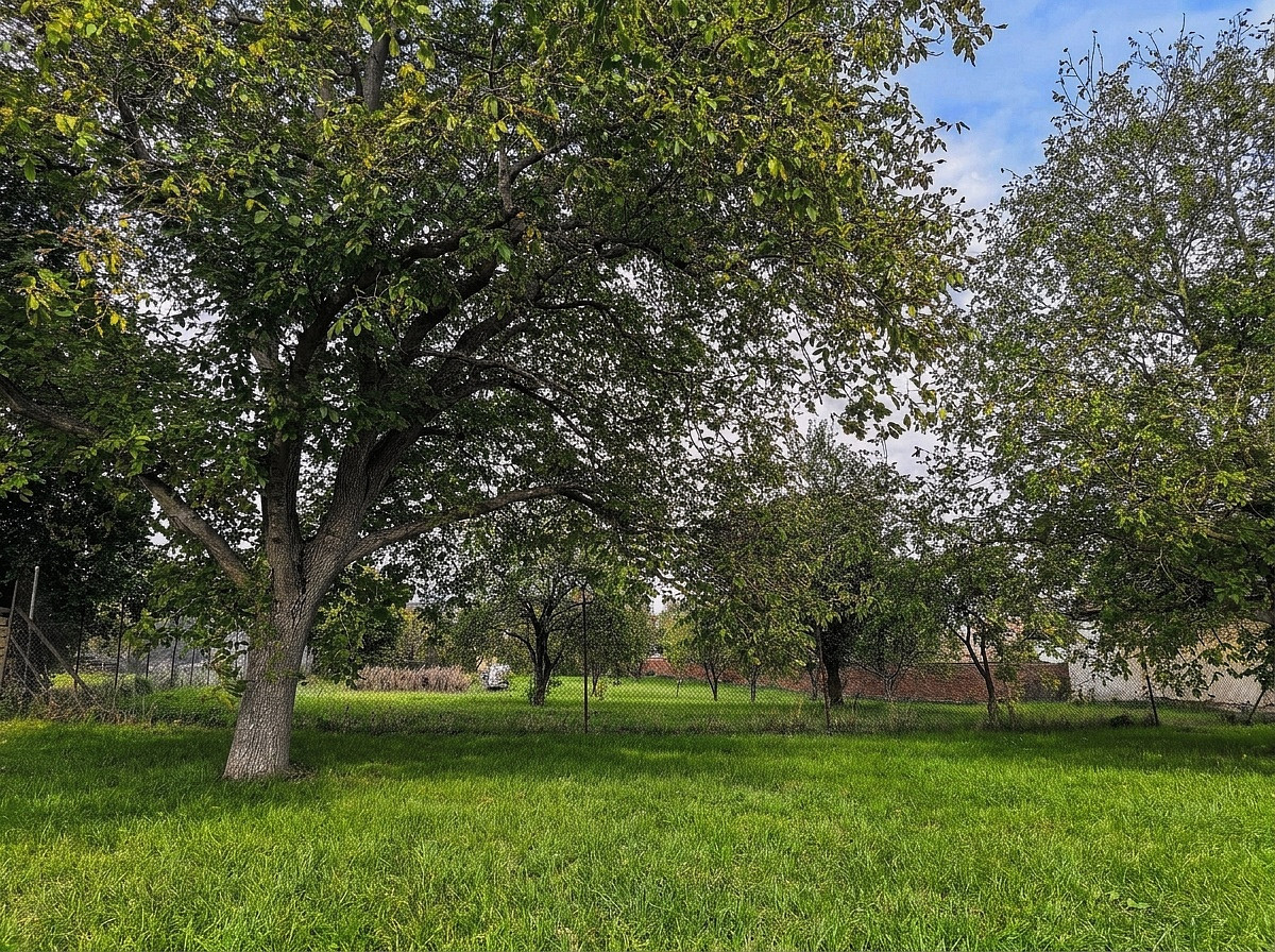 Prodej stavebního pozemku 2 042 m² — photo 3