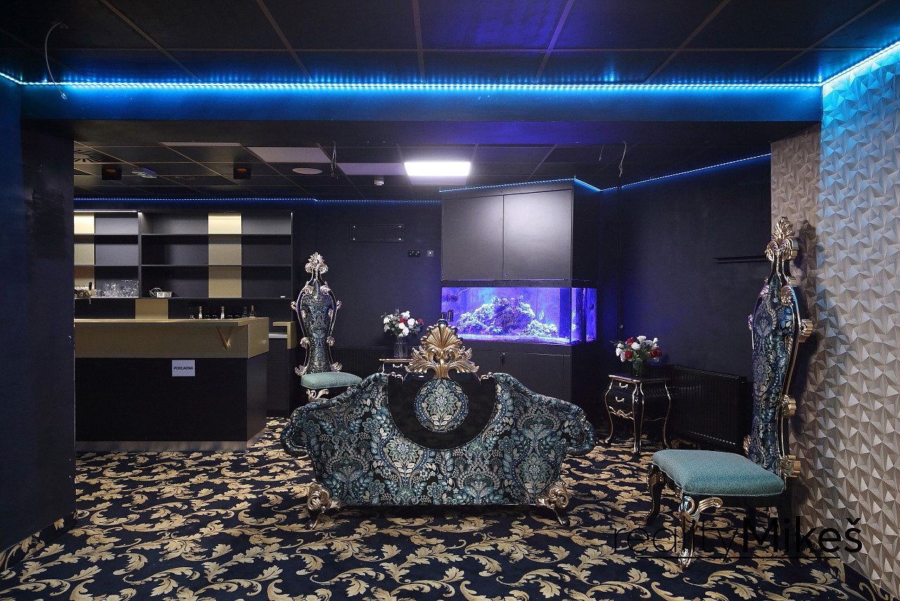 Pronájem obchodních prostor 351 m² – fotografie 5