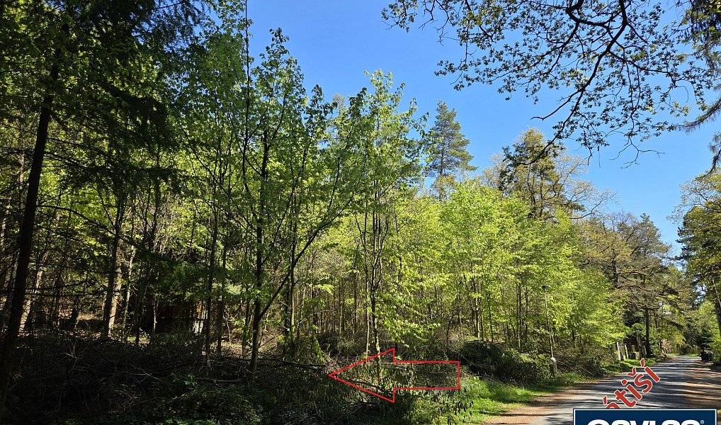 Prodej stavebního pozemku 3 541 m², Jevany – náhled fotky 11