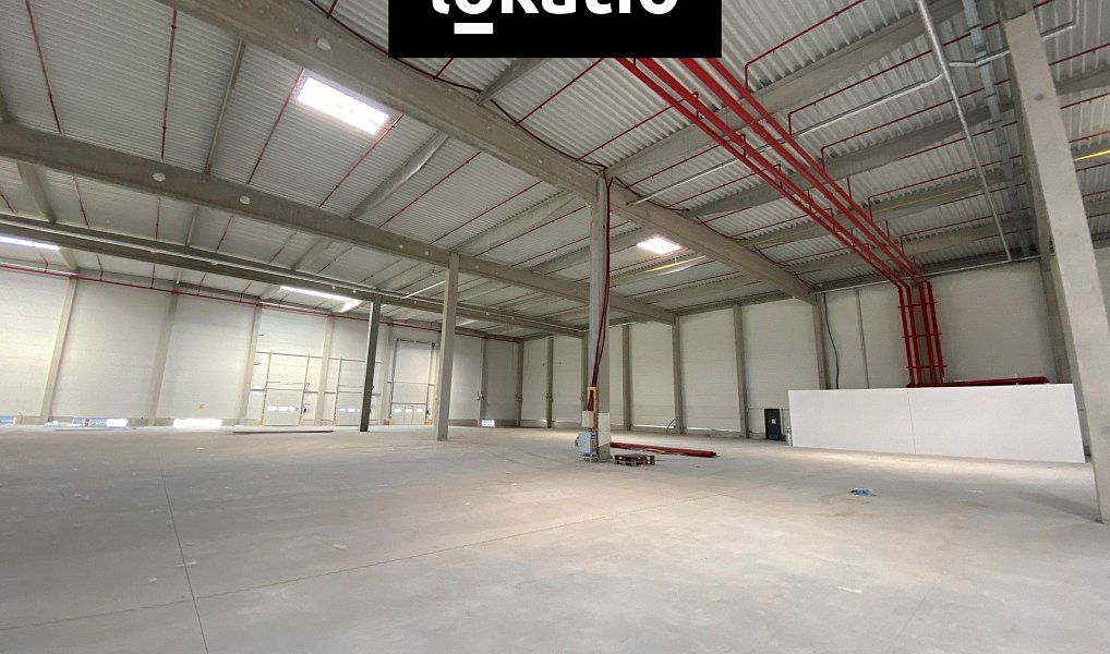 Pronájem výrobních prostor 10 242 m², Olomouc – náhled fotky 2