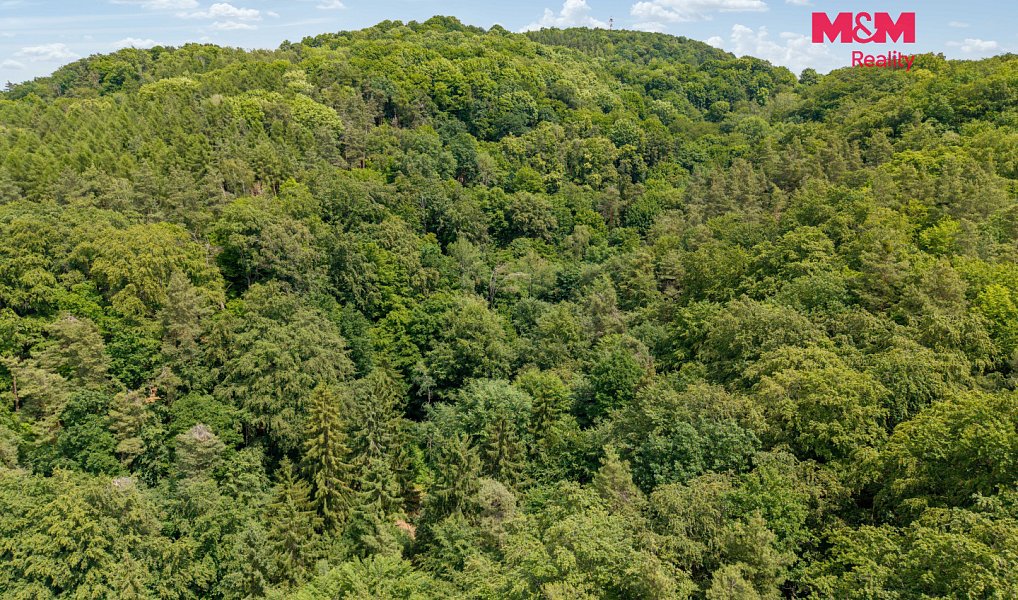 Prodej louky 13 358 m², Nosálov – náhled fotky 15
