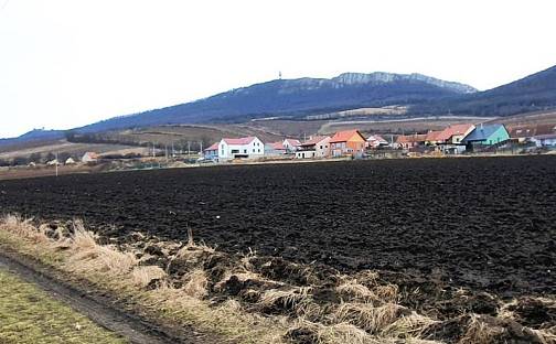 Prodej stavebního pozemku 1 592 m², Horní Věstonice, okres Břeclav