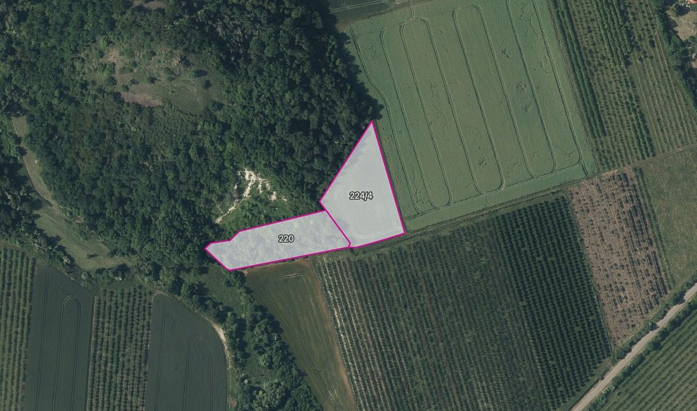 Prodej pole 16 344 m², Želkovice – náhled fotky 3
