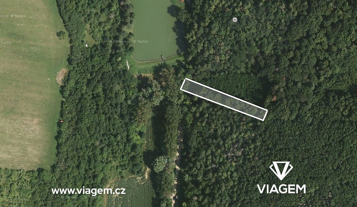 Prodej lesa 350 m² – fotografie 2
