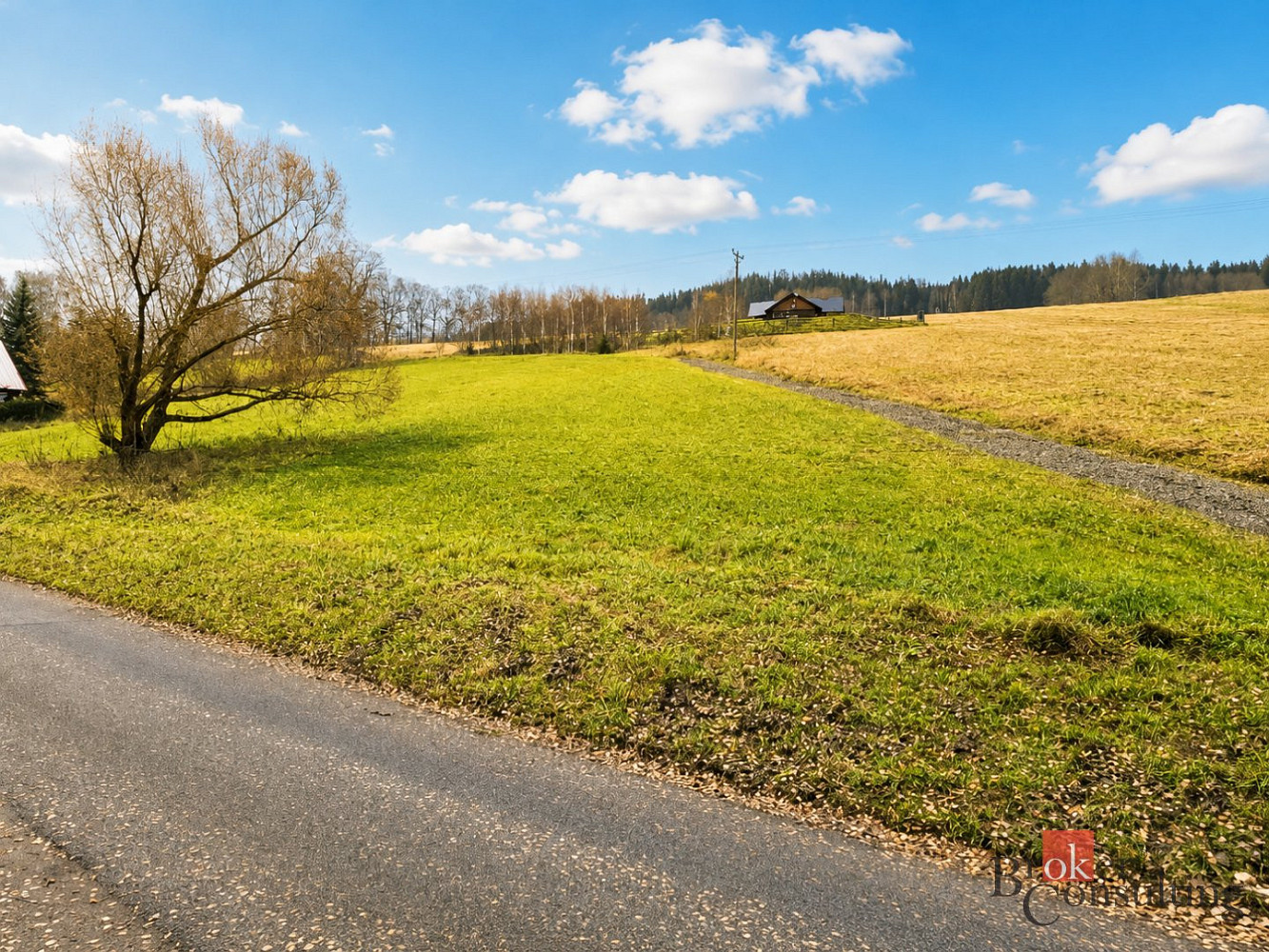 Prodej stavebního pozemku 4 354 m² – fotografie 3