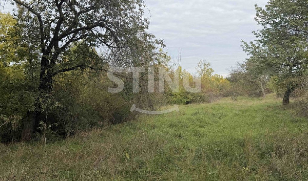 Prodej pozemku 10 074 m², Kleneč – náhled fotky 5