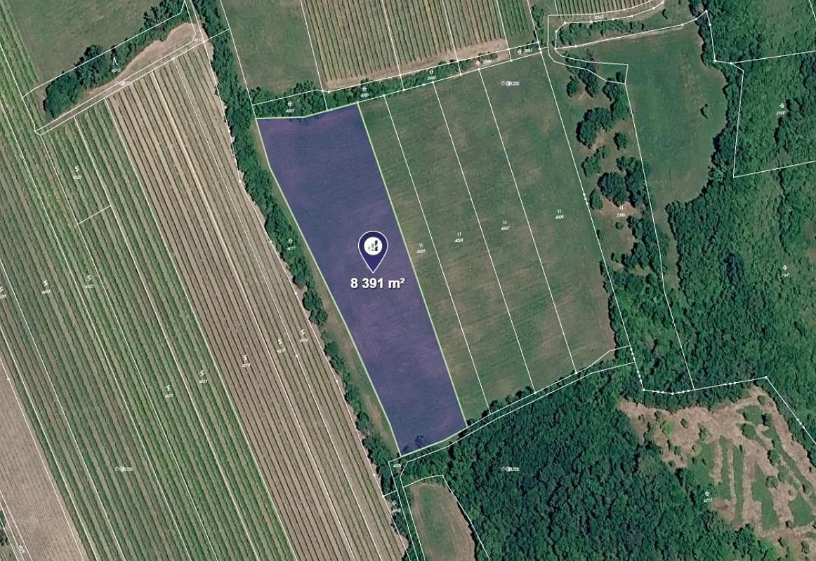 Prodej louky 8 391 m²