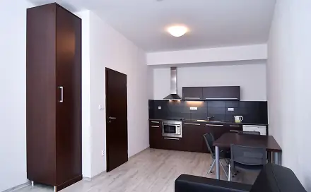 Pronájem bytu 2+kk 45 m², Bratislavská, Brno - Zábrdovice