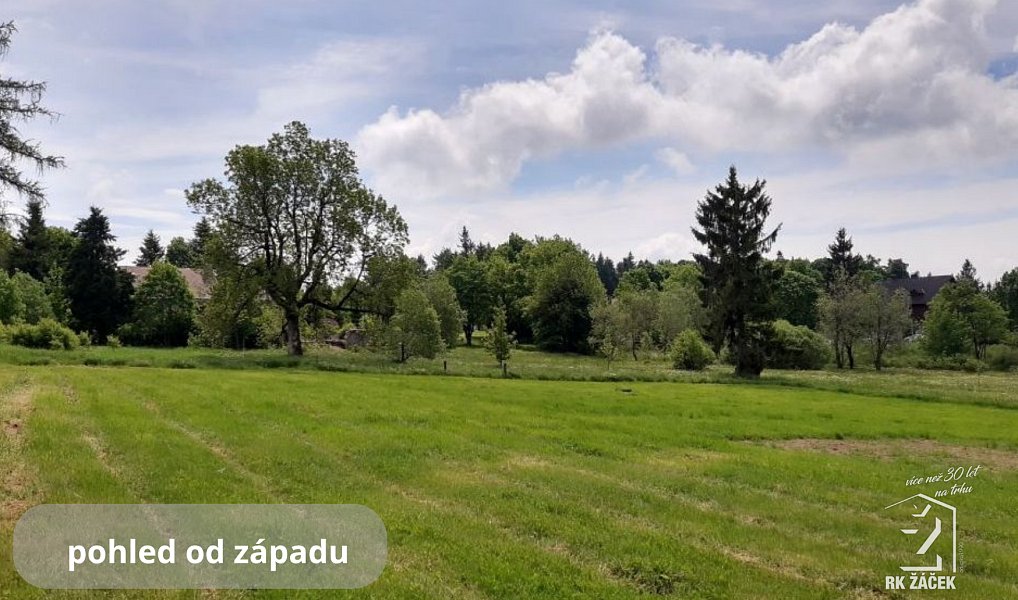 Prodej stavebního pozemku 2 479 m², Přední Výtoň – náhled fotky 7