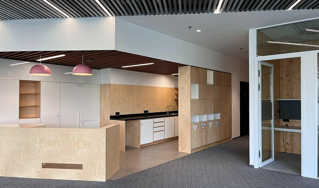 Pronájem kanceláře 690 m², Praha – náhled fotky 5