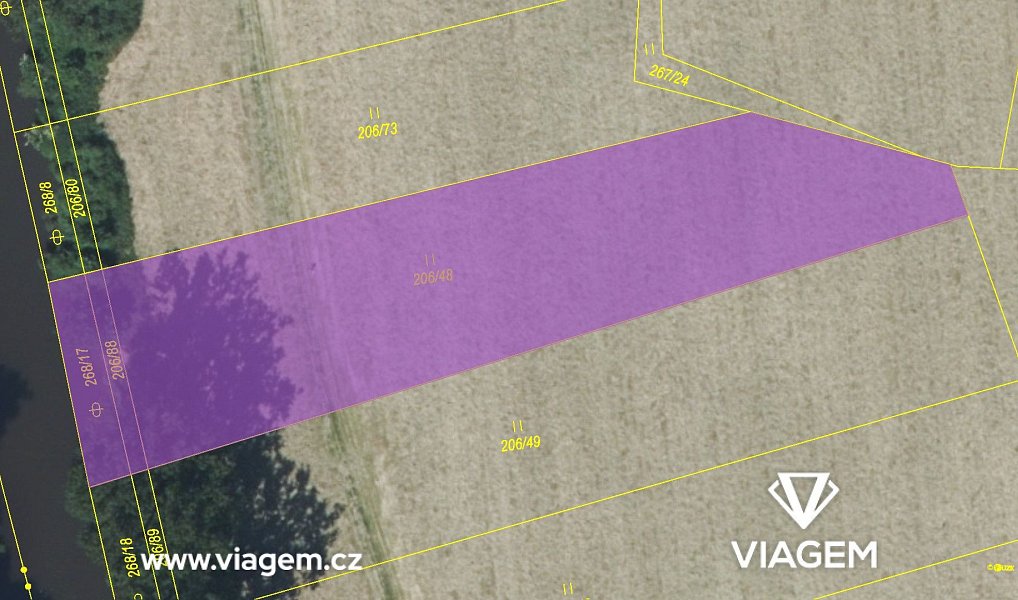 Prodej pole 2 807 m², Brodce – náhled fotky 5