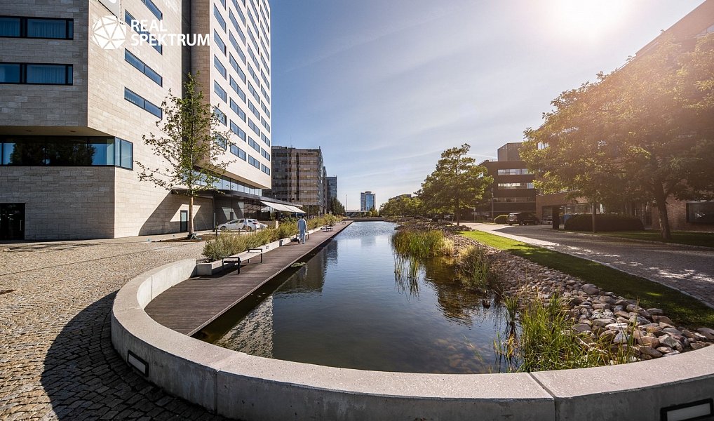 Pronájem kanceláře 829 m², Brno – náhled fotky 7