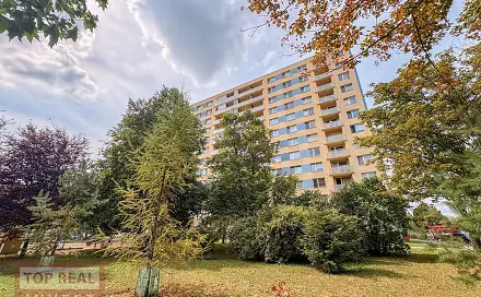 Prodej bytu 1+1 36 m², Spáčilova, Kroměříž