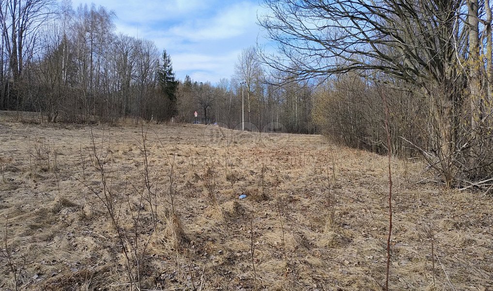 Prodej stavebního pozemku 1 920 m², Dolní Moravice – náhled fotky 8
