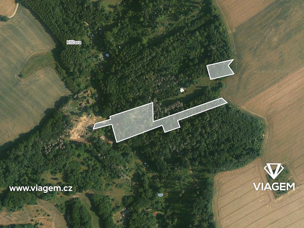Prodej lesa 7 382 m² – fotografie 3