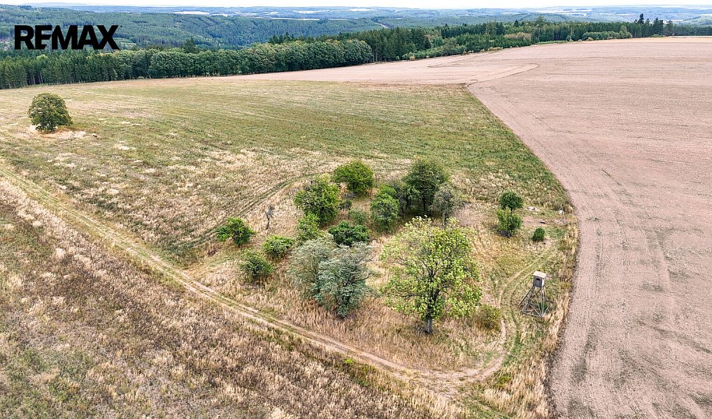 Prodej stavebního pozemku 3 633 m², Ošelín – náhled fotky 15