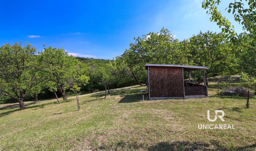Prodej pole 3 851 m², Židlochovice – náhled fotky 7