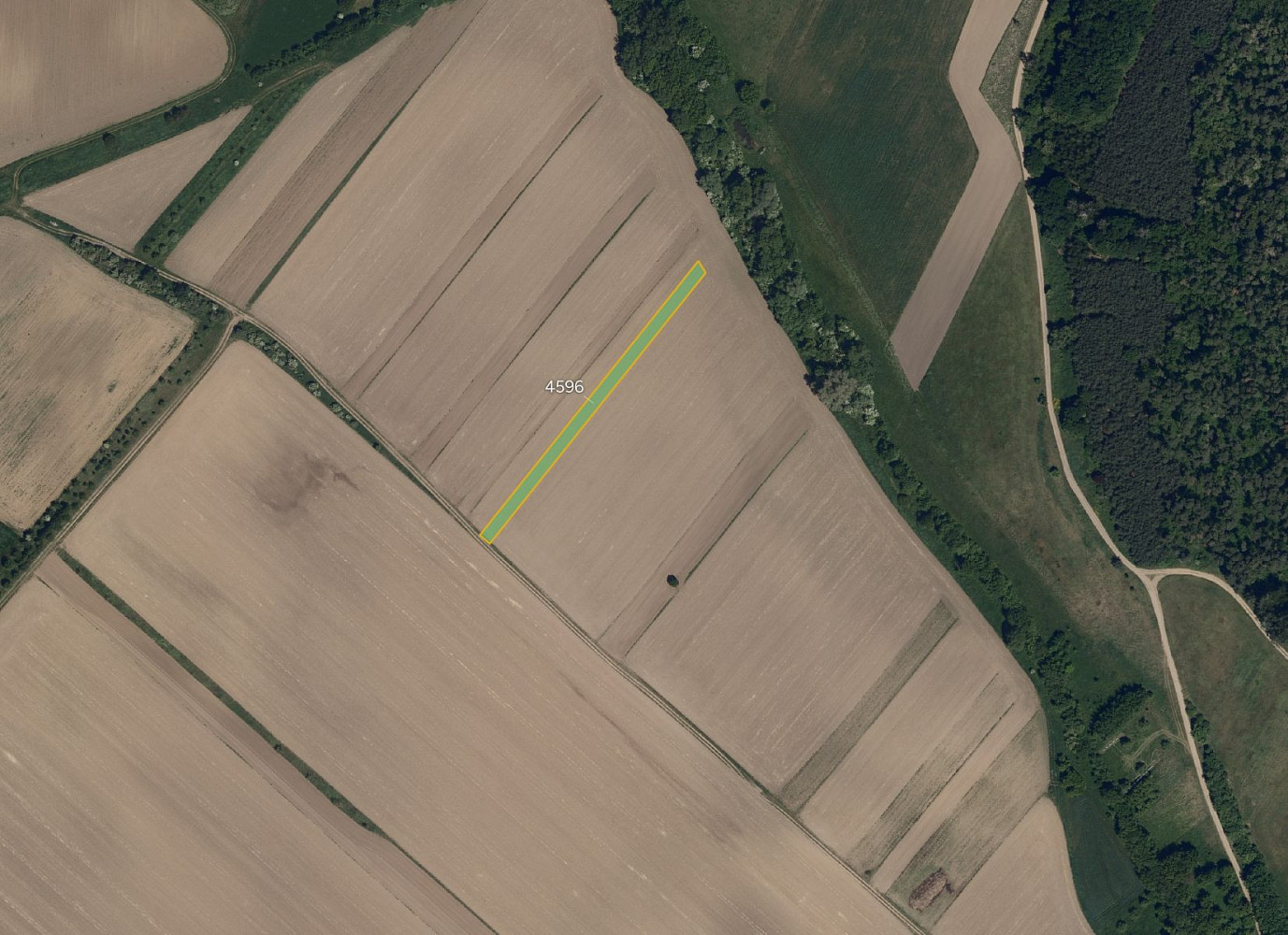 Prodej pole 3 239 m²