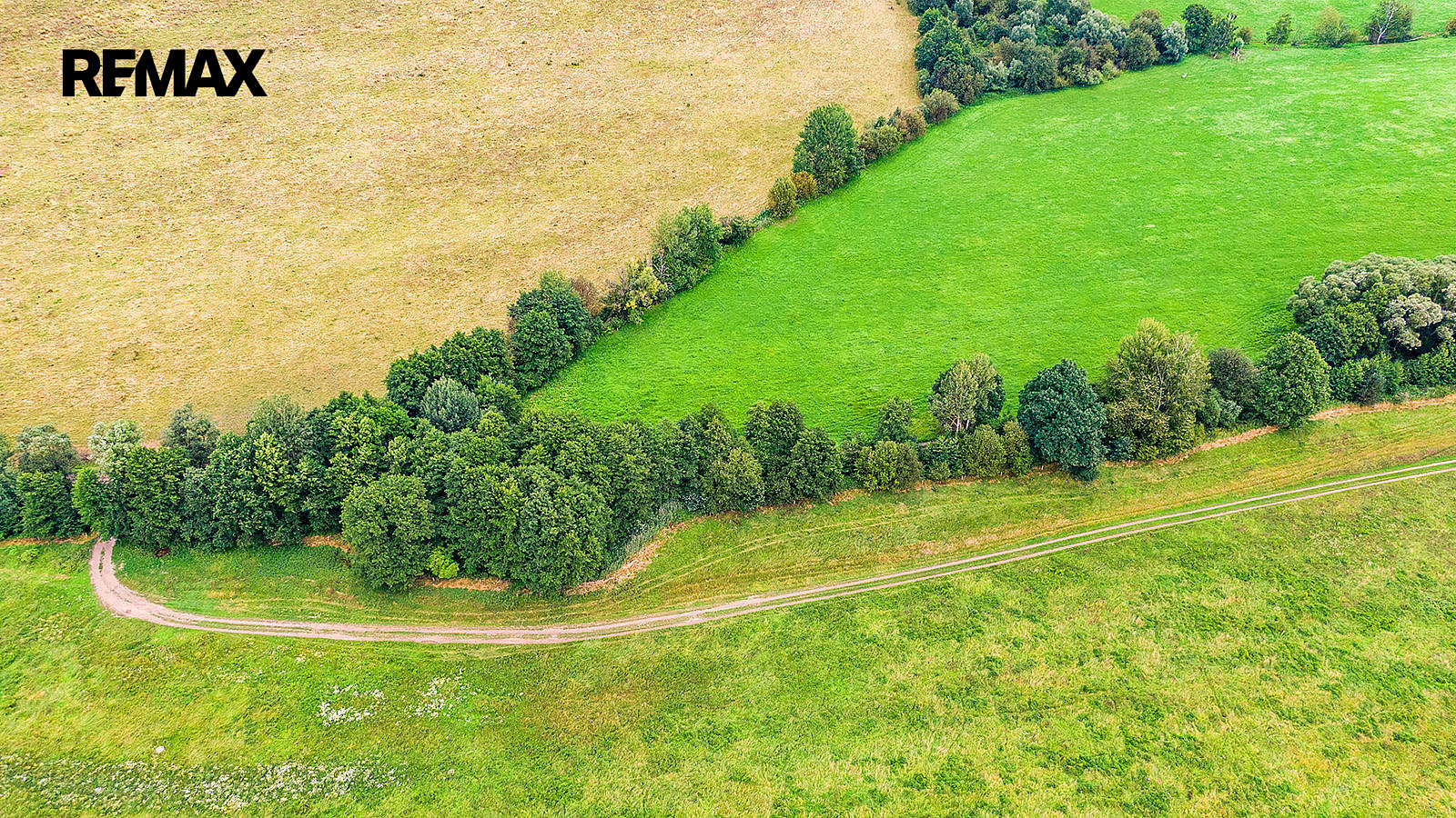 Prodej pozemku 38 279 m² – pohled 2
