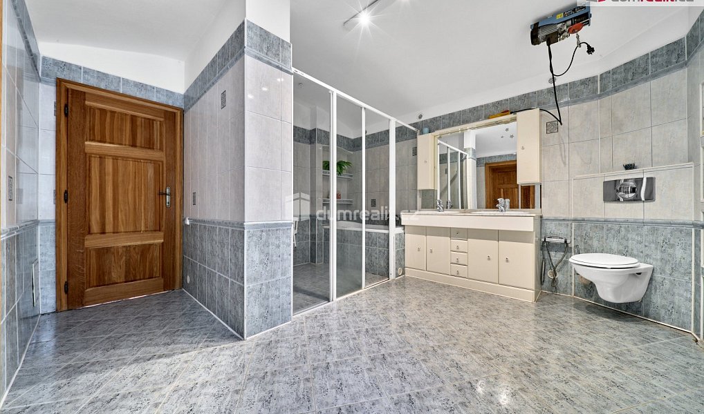 Prodej domu 630 m² s pozemkem 83 559 m², Okounov – náhled fotky 7