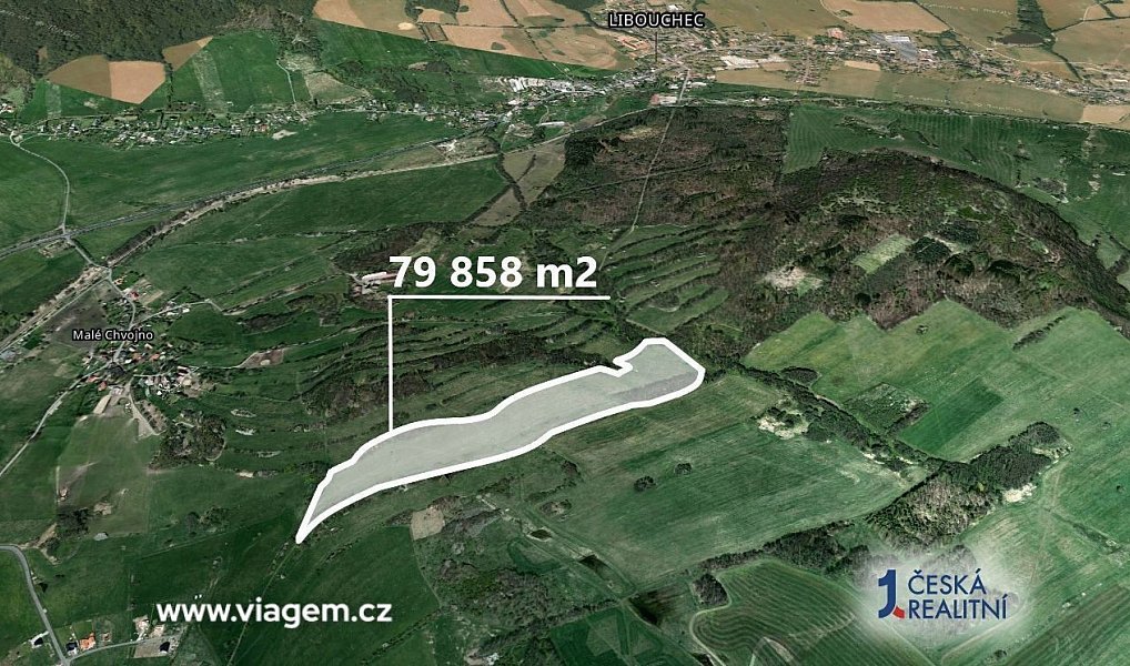 Prodej pole 4 436 m², Velké Chvojno – náhled fotky 2