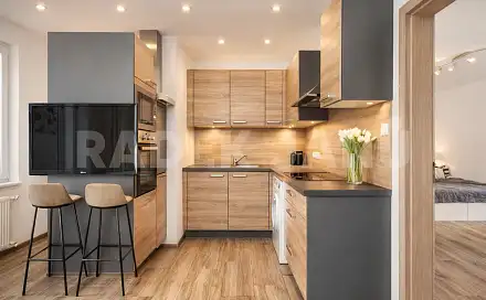 Pronájem bytu 1+1 44 m²