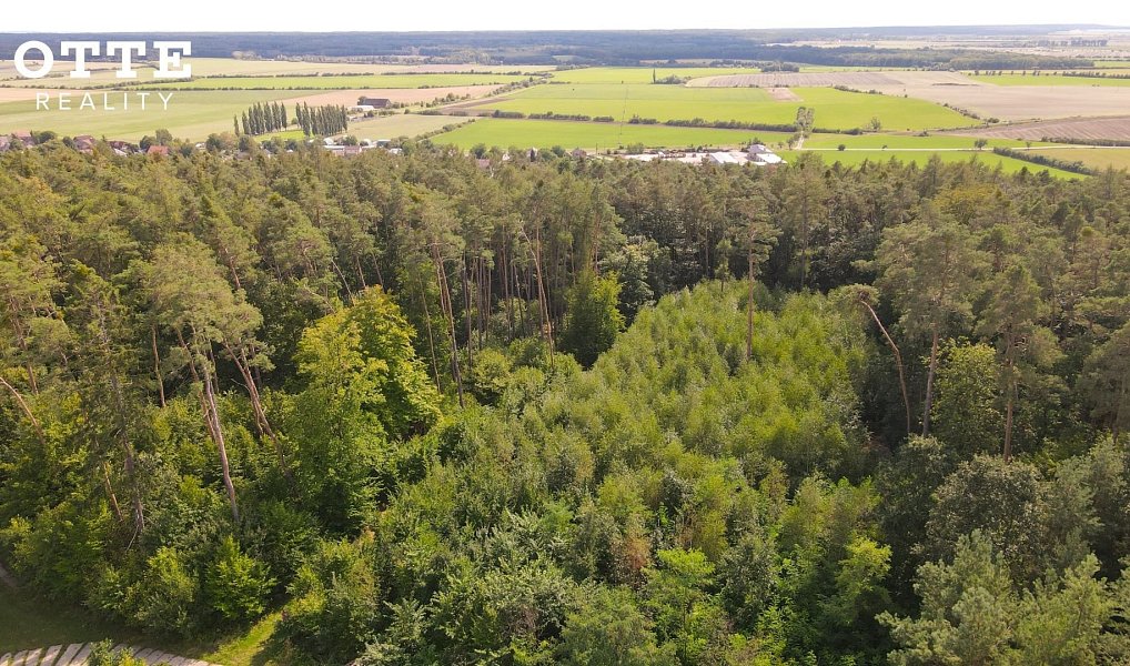 Prodej lesa 985 653 m², Žerčice – náhled fotky 10