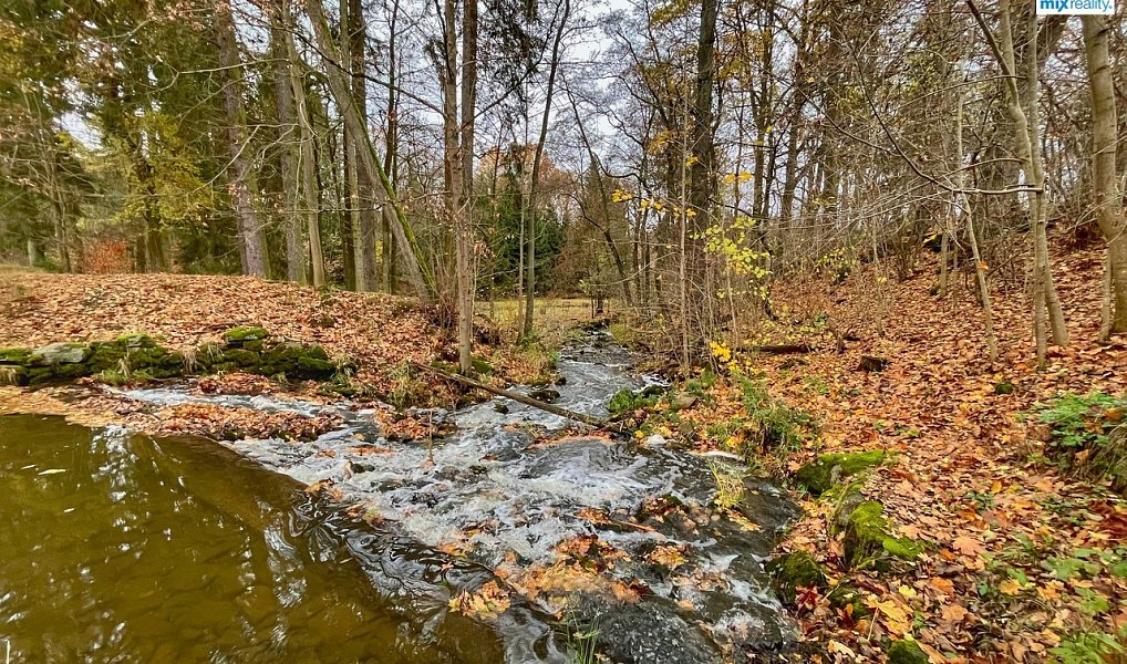 Prodej vodní plochy 14 487 m², Čmelíny – náhled fotky 8