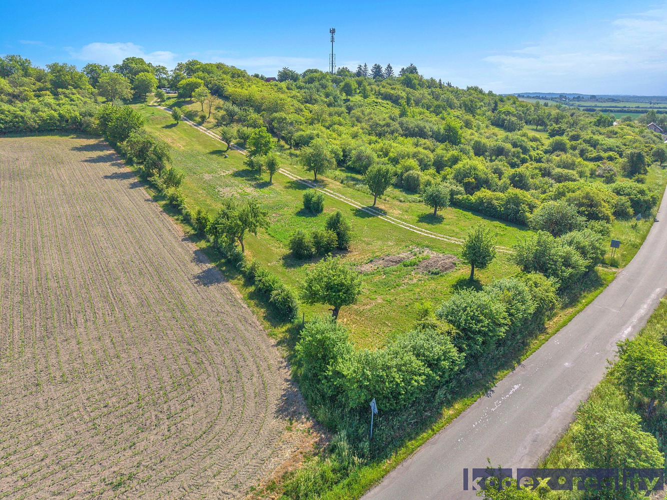 Prodej zahrady 8 945 m² – fotografie 5