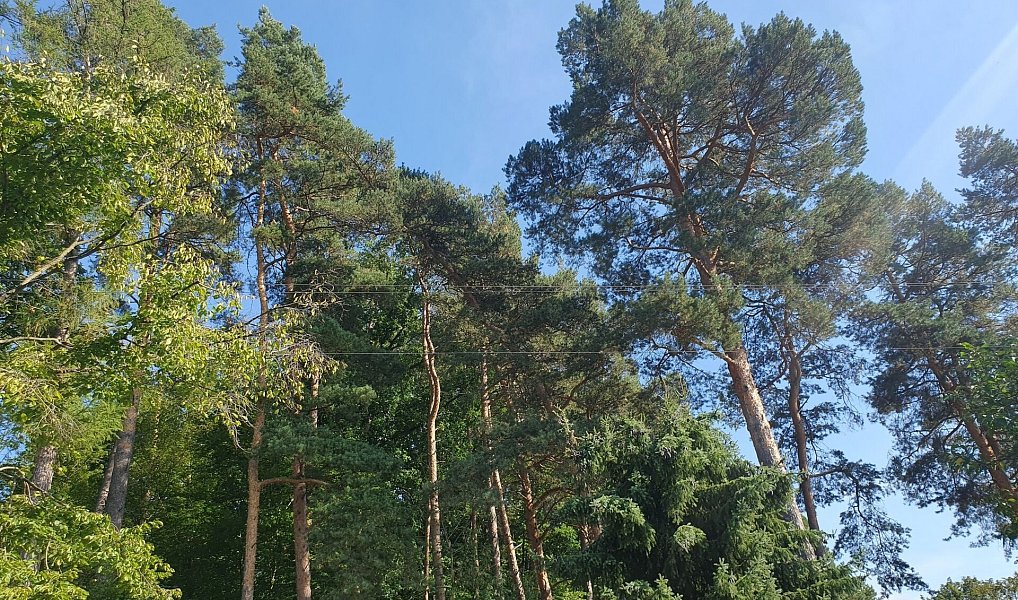Prodej domu 207 m² s pozemkem 657 m², Rataje nad Sázavou – náhled fotky 7