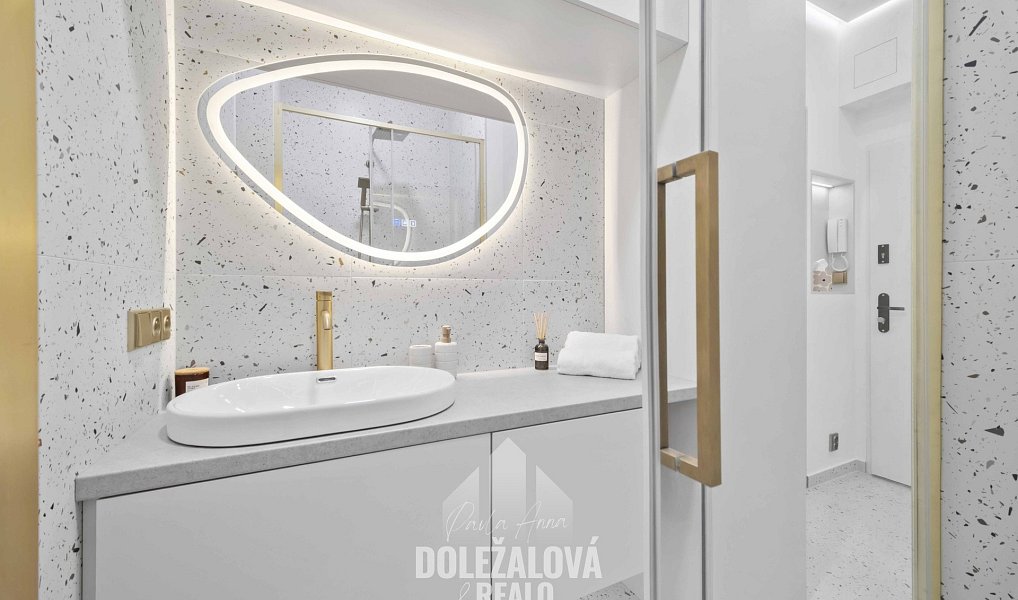 Prodej bytu 1+kk 25 m², Praha – náhled fotky 23