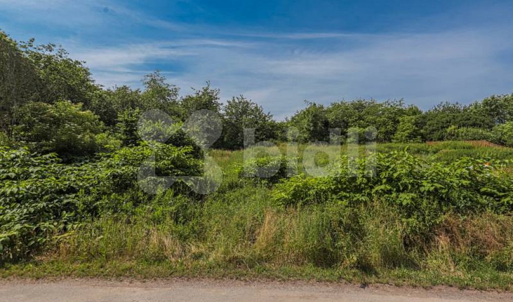 Prodej pozemku 735 m², Skapce – náhled fotky 4