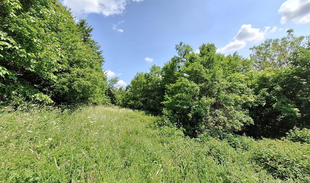 Prodej domu 80 m² s pozemkem 18 929 m², Žítková – náhled fotky 12