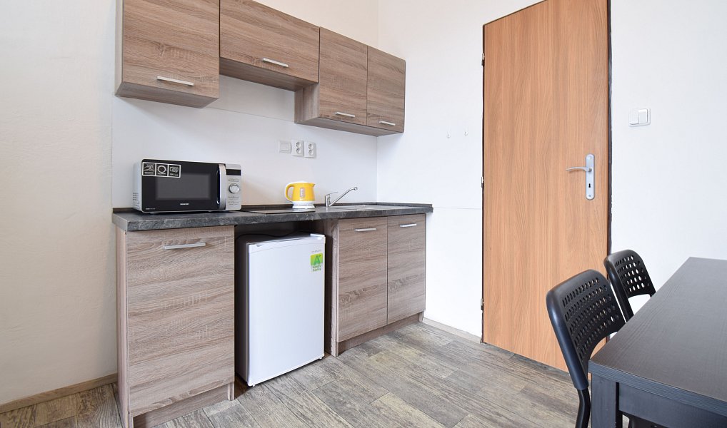 Pronájem bytu 2+1 44 m², Brno – náhled fotky 7